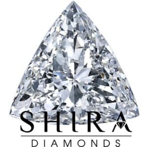 Trillion_Diamonds_in_Dallas_-_Shira_Diamonds_hi2c-oa (1)