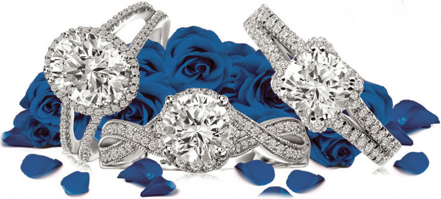 Four diamond engagement rings surrounded by blue roses.