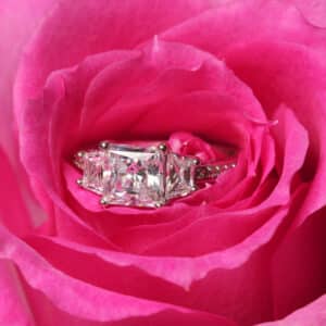 engagement ring in a rose